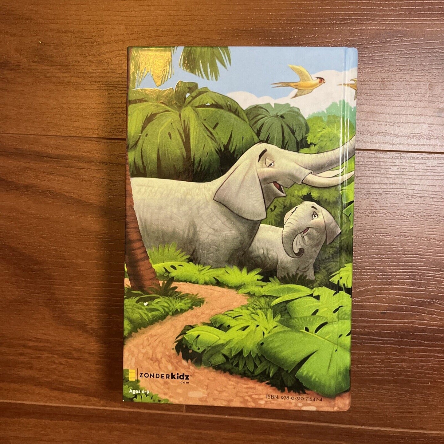 NIRV Adventure Bible for Early Readers: 6-10 Years Olds Hardcover