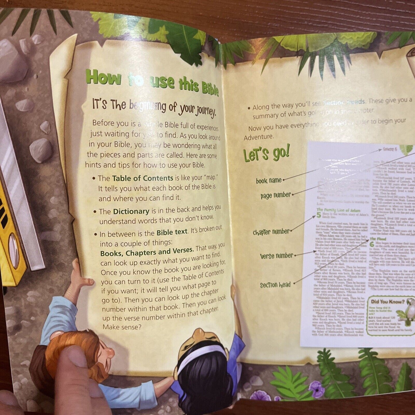 NIRV Adventure Bible for Early Readers: 6-10 Years Olds Hardcover