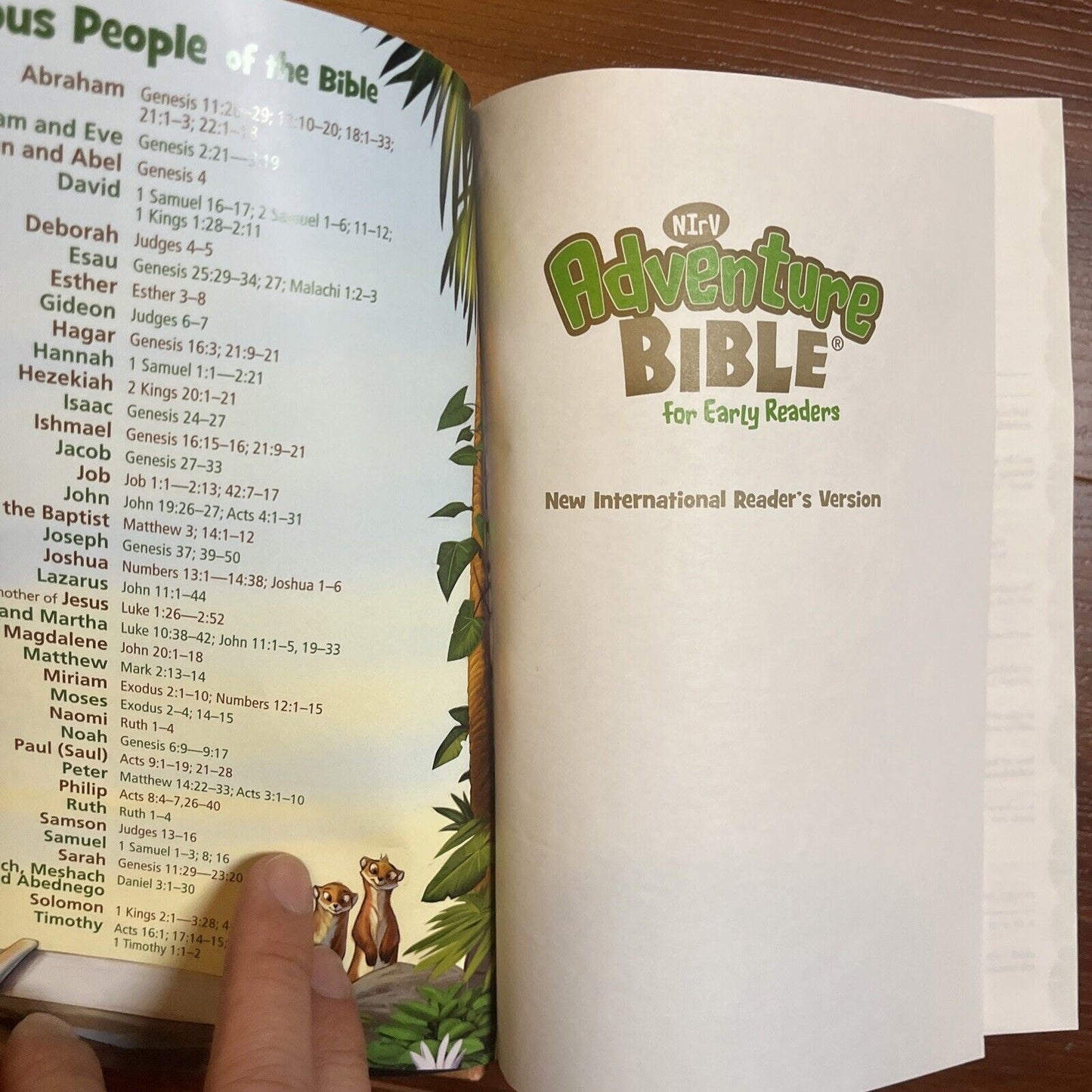 NIRV Adventure Bible for Early Readers: 6-10 Years Olds Hardcover