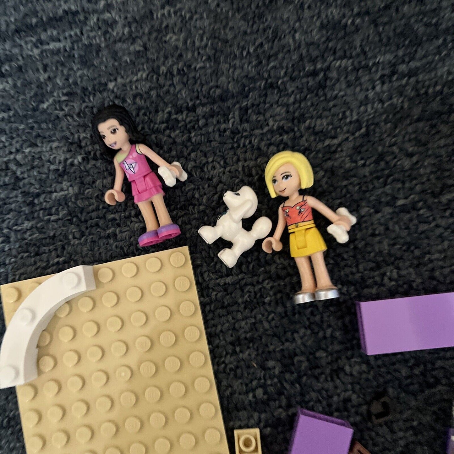 LEGO FRIENDS: Doggy Day Care (41691)