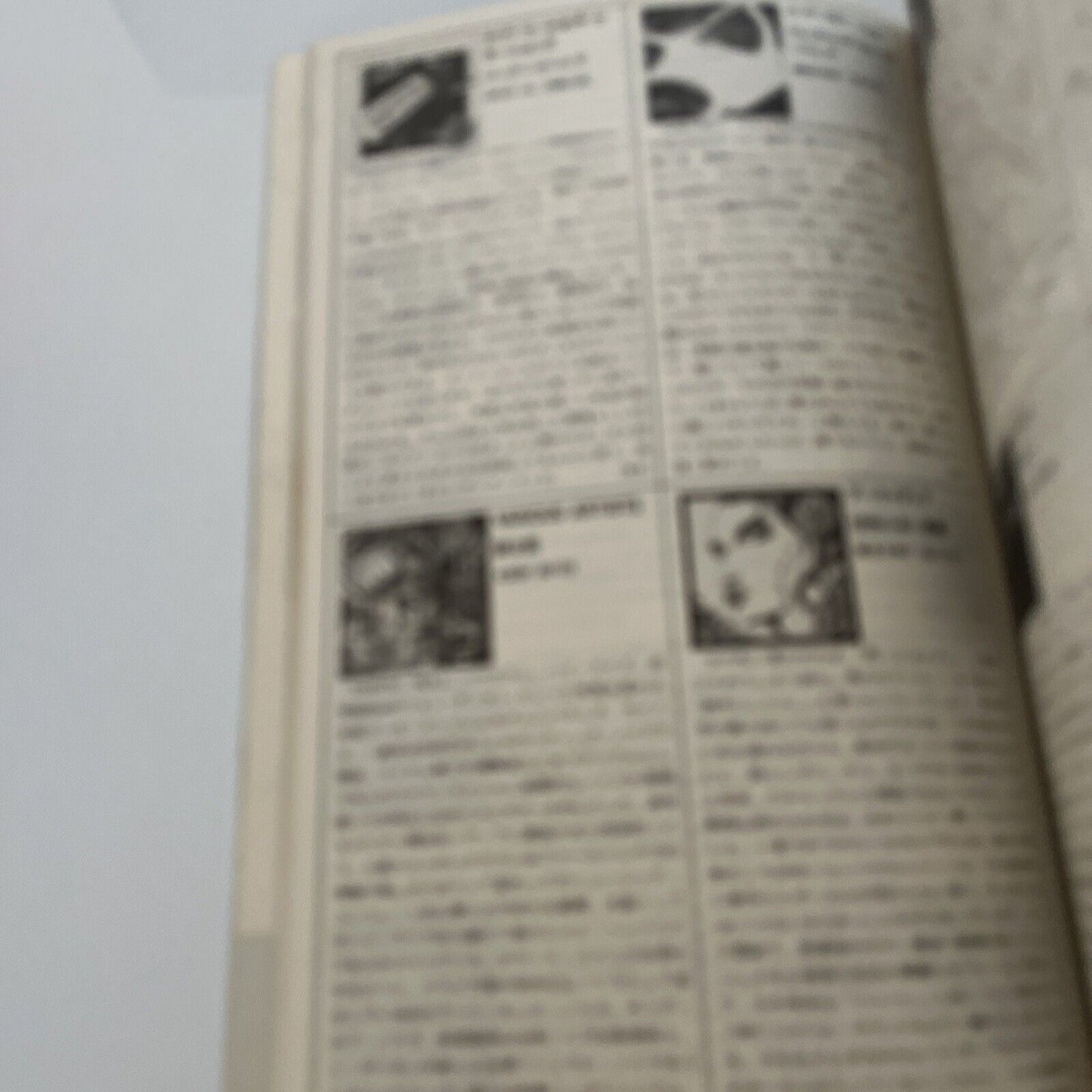 Fool's Mate Magazine Japanese Edition Siouxsie Sioux 1986 February Vol. 53