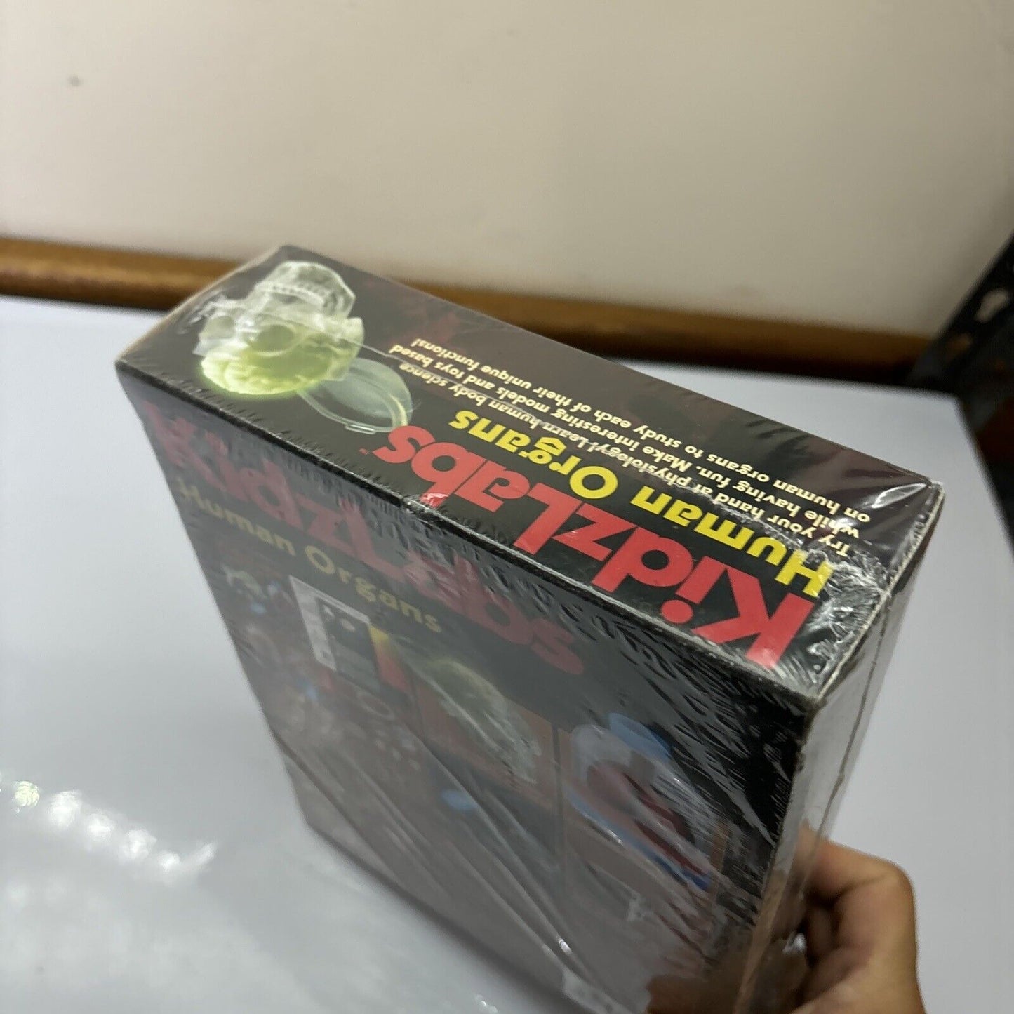 KidzLabs - Human Organs Models *New Sealed*