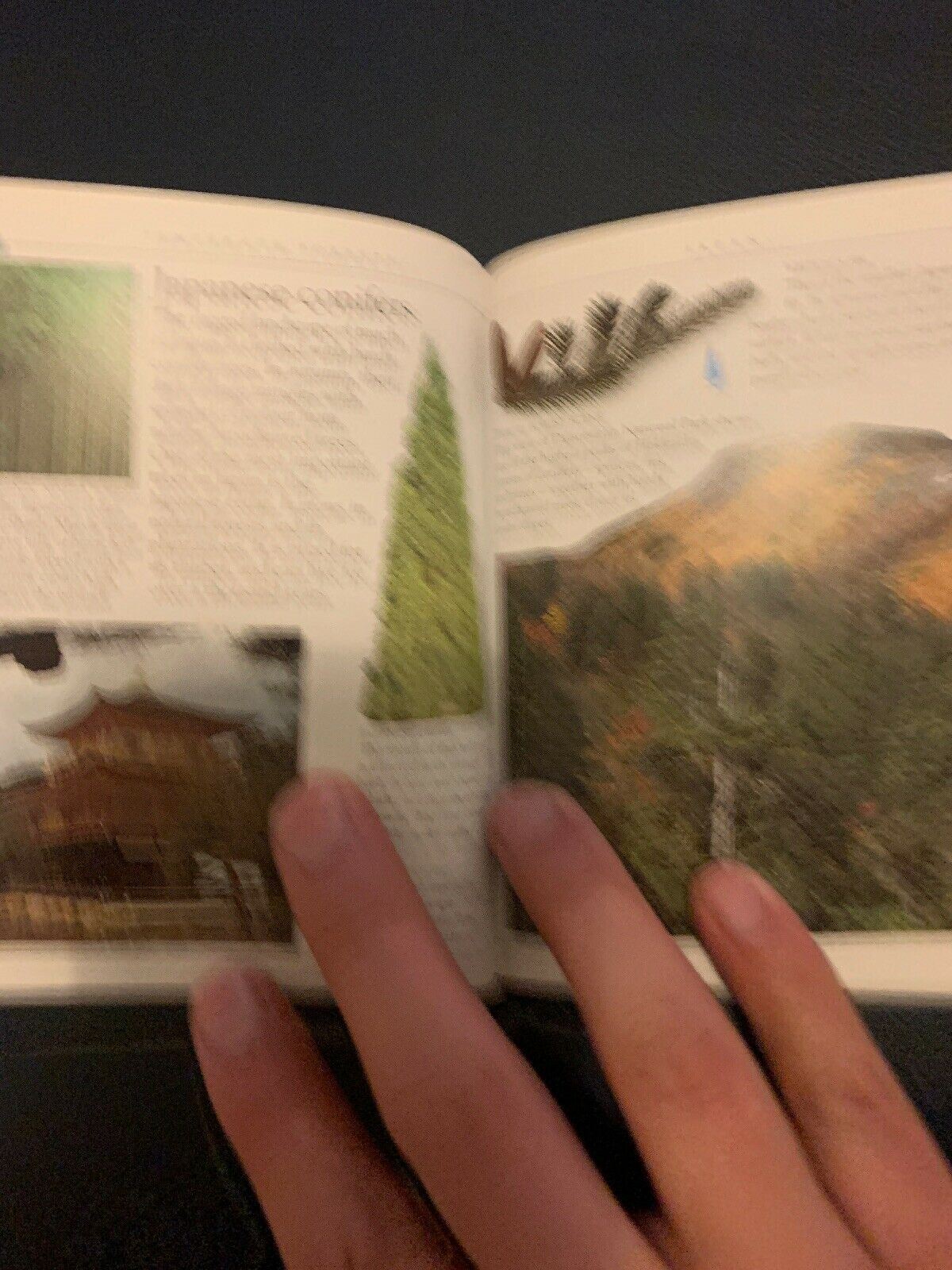 Pockets: Trees, Theresa Greenaway, Used; Good Book