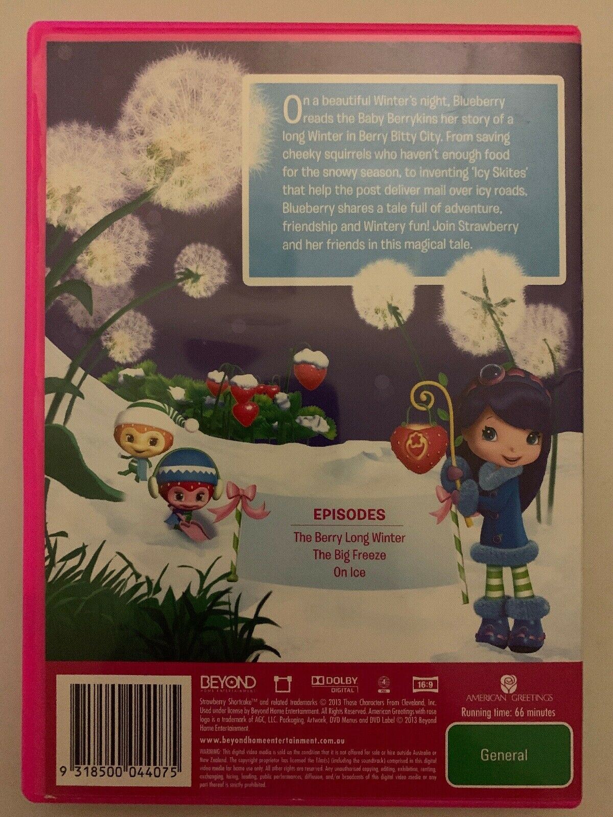 Strawberry Shortcake - A Winter Fairytale (DVD, 2013)