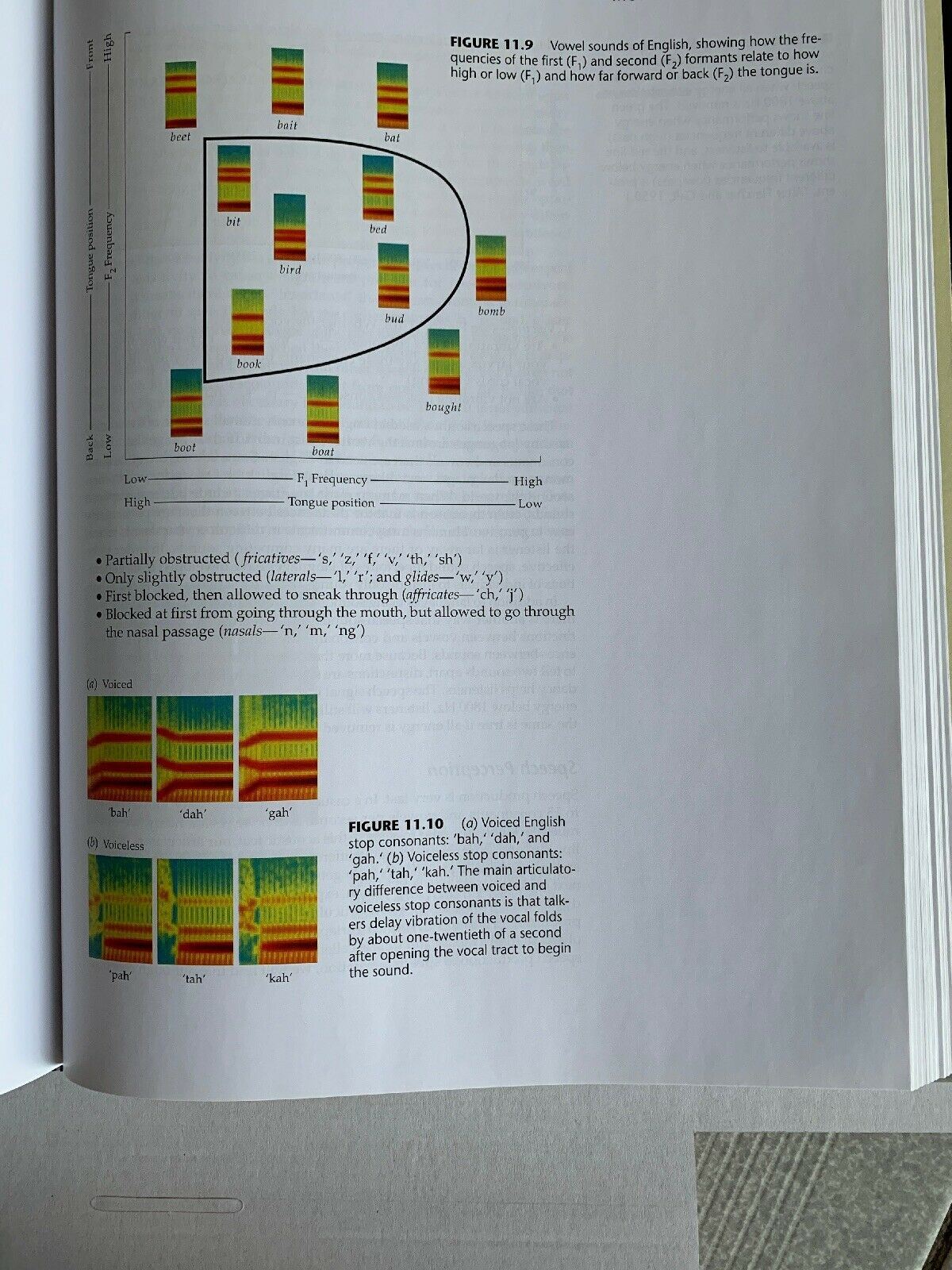 Sensation and Perception by Keith Kluender, Dennis Levi, Susan Lederman, Roberta