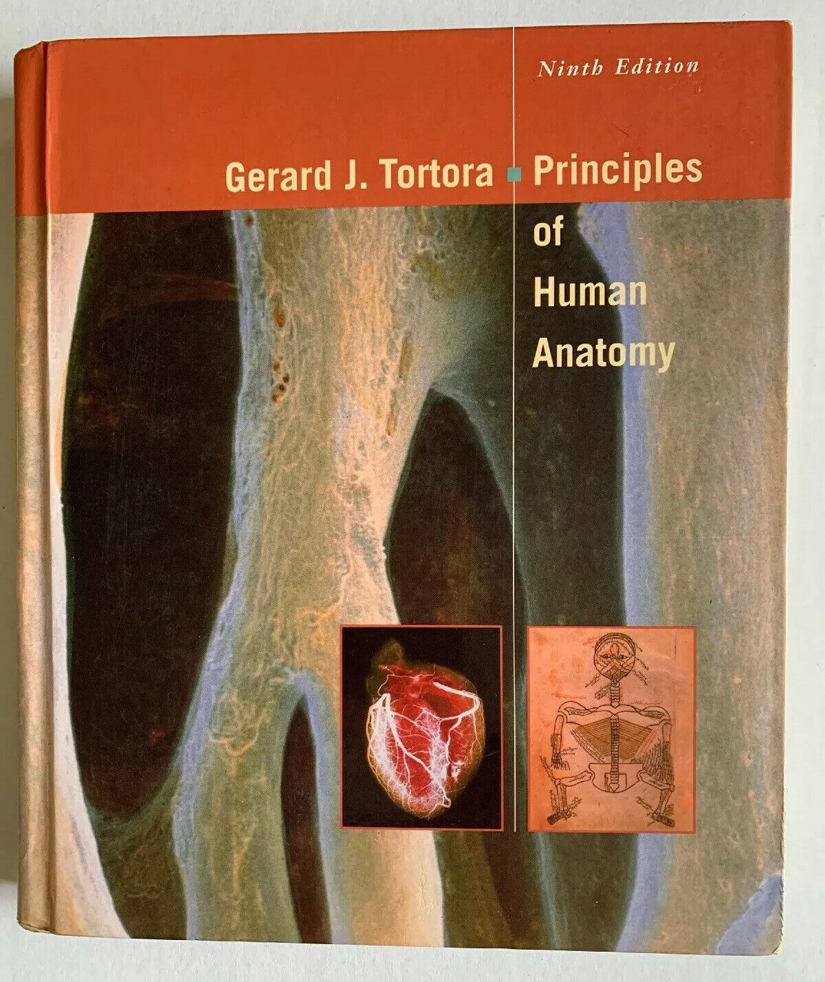 Principles Of Human Anatomy By Gerald J. Tortora 9th Edition