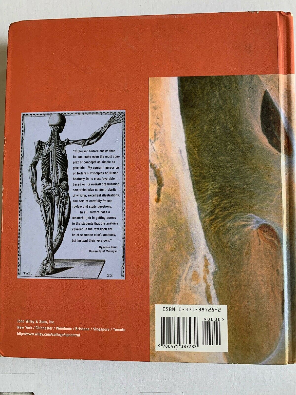 Principles Of Human Anatomy By Gerald J. Tortora 9th Edition