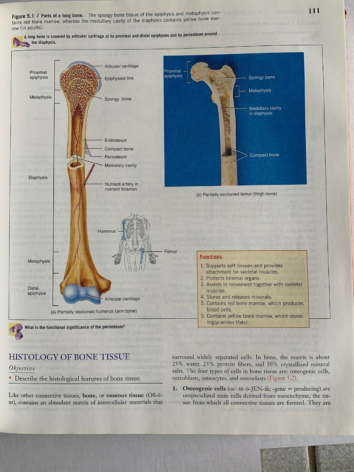 Principles Of Human Anatomy By Gerald J. Tortora 9th Edition