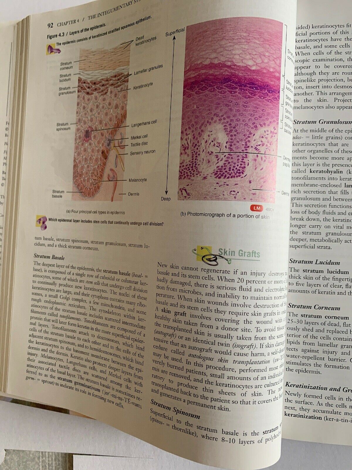 Principles Of Human Anatomy By Gerald J. Tortora 9th Edition