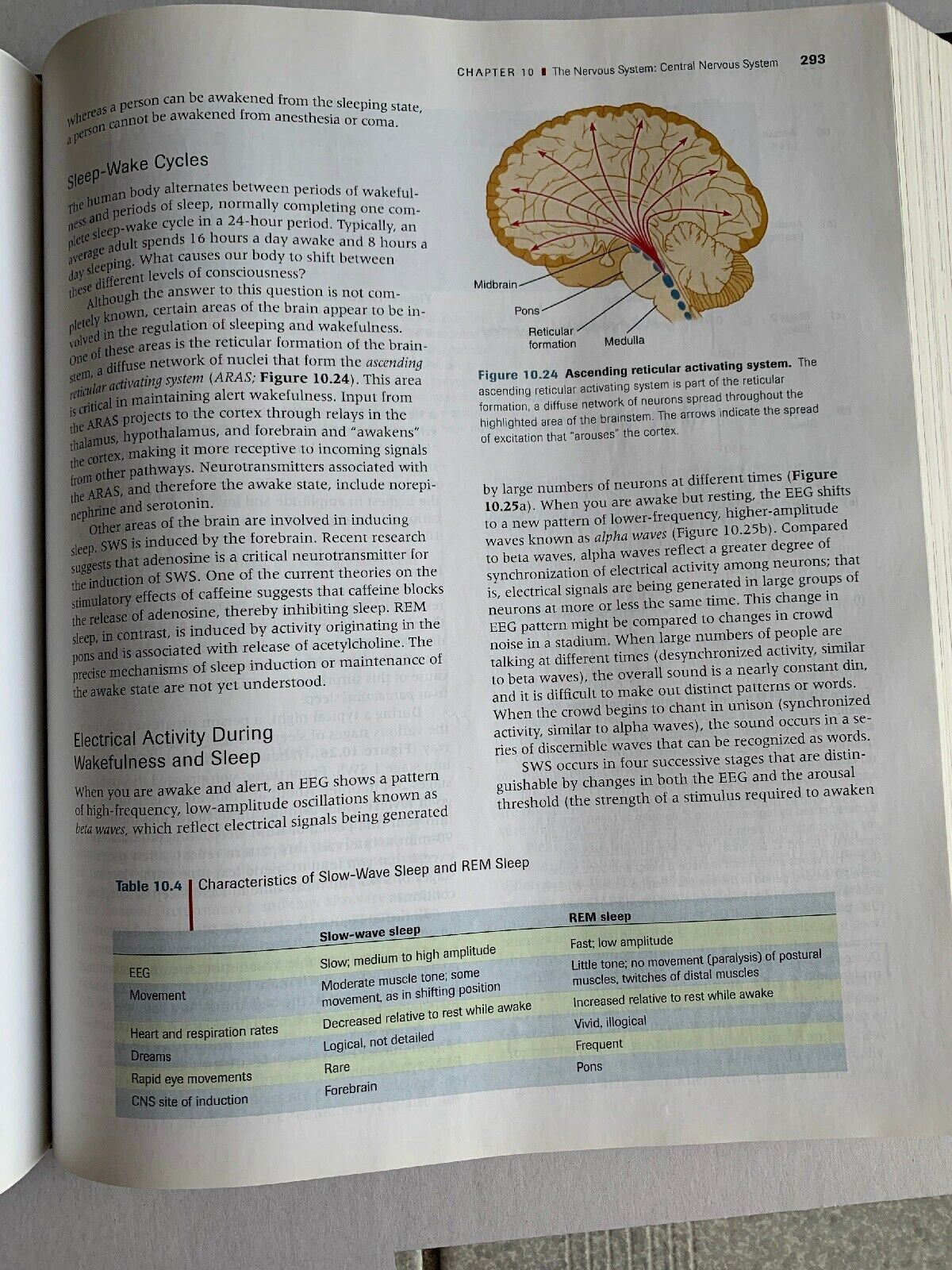 Principles of Human Physiology: Second Edition By William J. Germann, Cindy