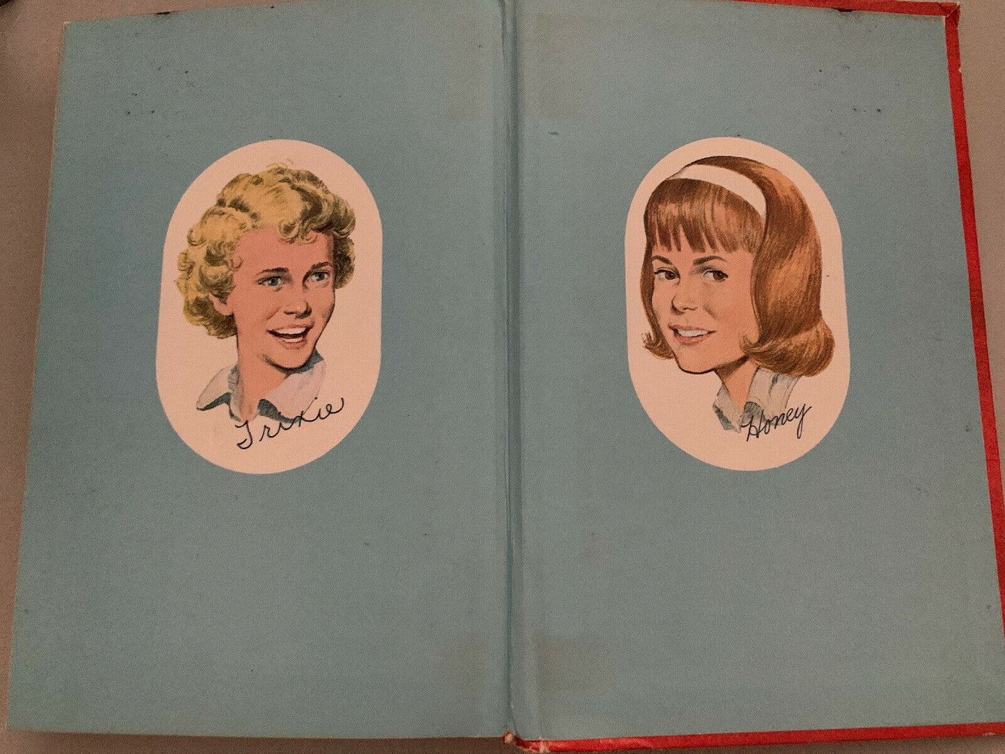 Trixie Belden And The Mystery On Cobbetts Island (1966 Edition) Vintage Book