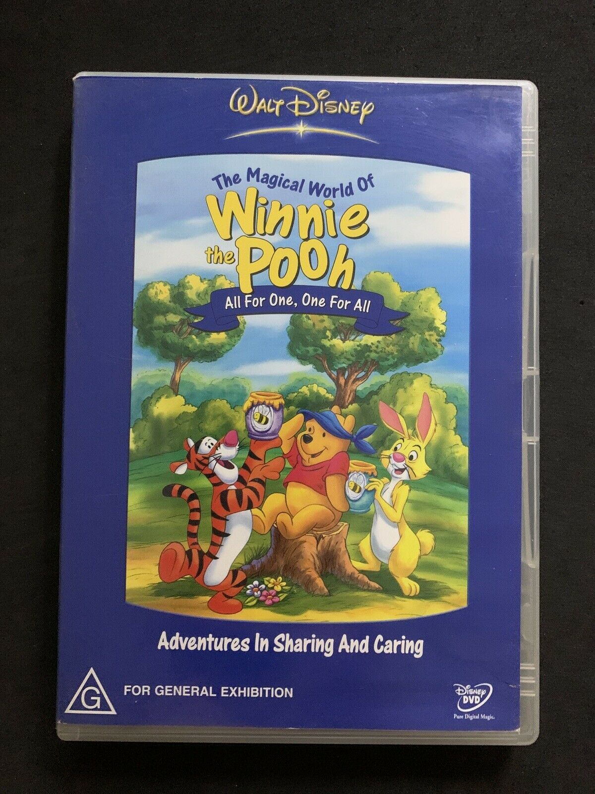 The Magical World Of Winnie The Pooh - All For One, One For All (DVD)