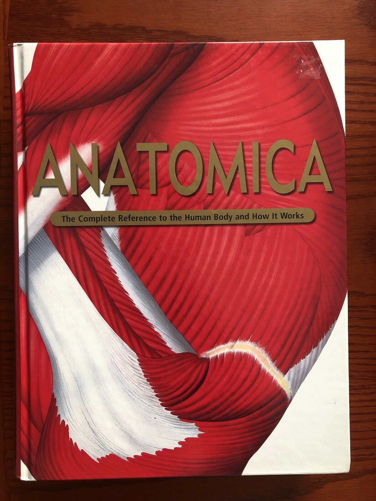Anatomy ANATOMICA Visual Encyclopedia to the Human Body + CD-ROM