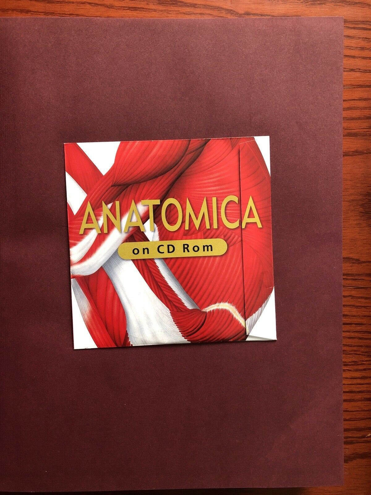 Anatomy ANATOMICA Visual Encyclopedia to the Human Body + CD-ROM