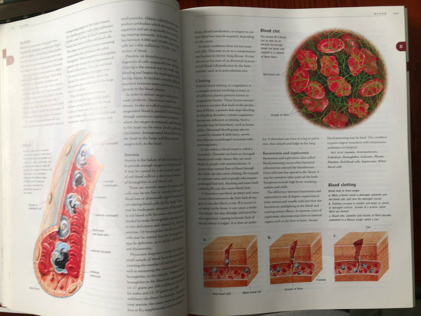 Anatomy ANATOMICA Visual Encyclopedia to the Human Body + CD-ROM