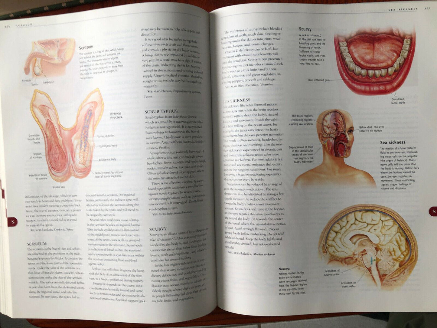 Anatomy ANATOMICA Visual Encyclopedia to the Human Body + CD-ROM