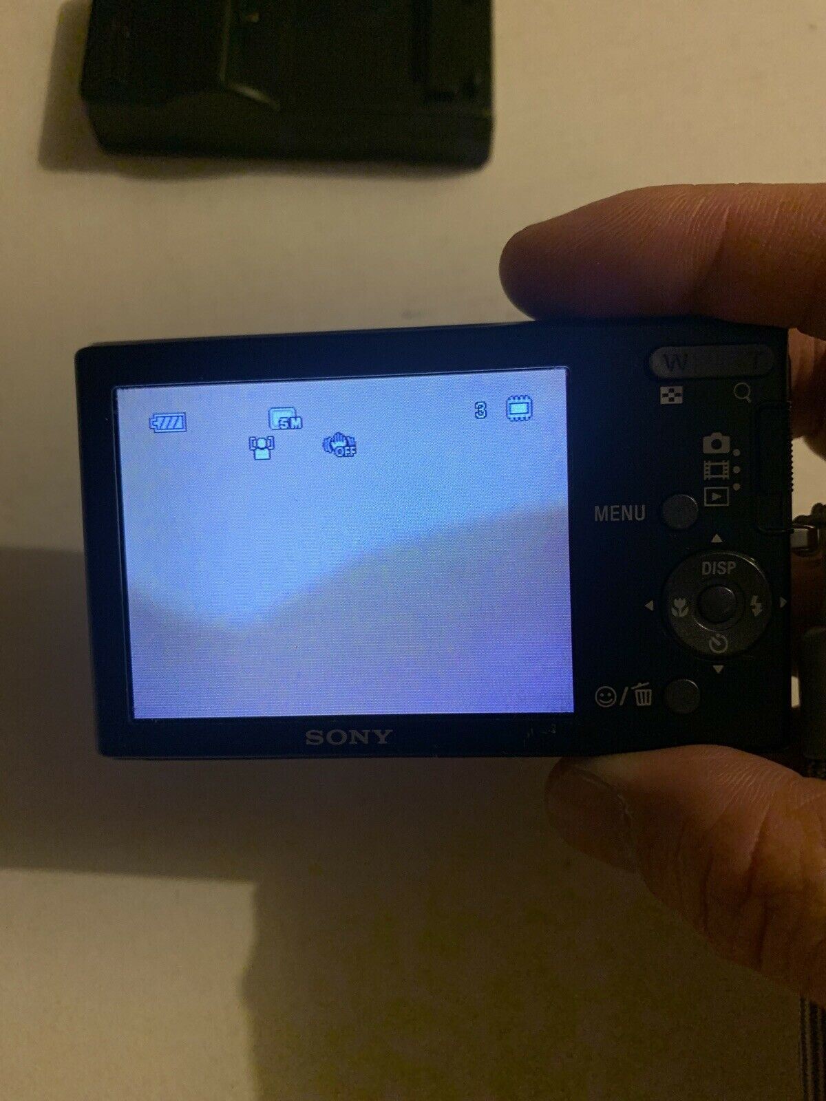 Sony Cyber-Shot DSC-W180 Digital Camera 10.1 MP With Charger