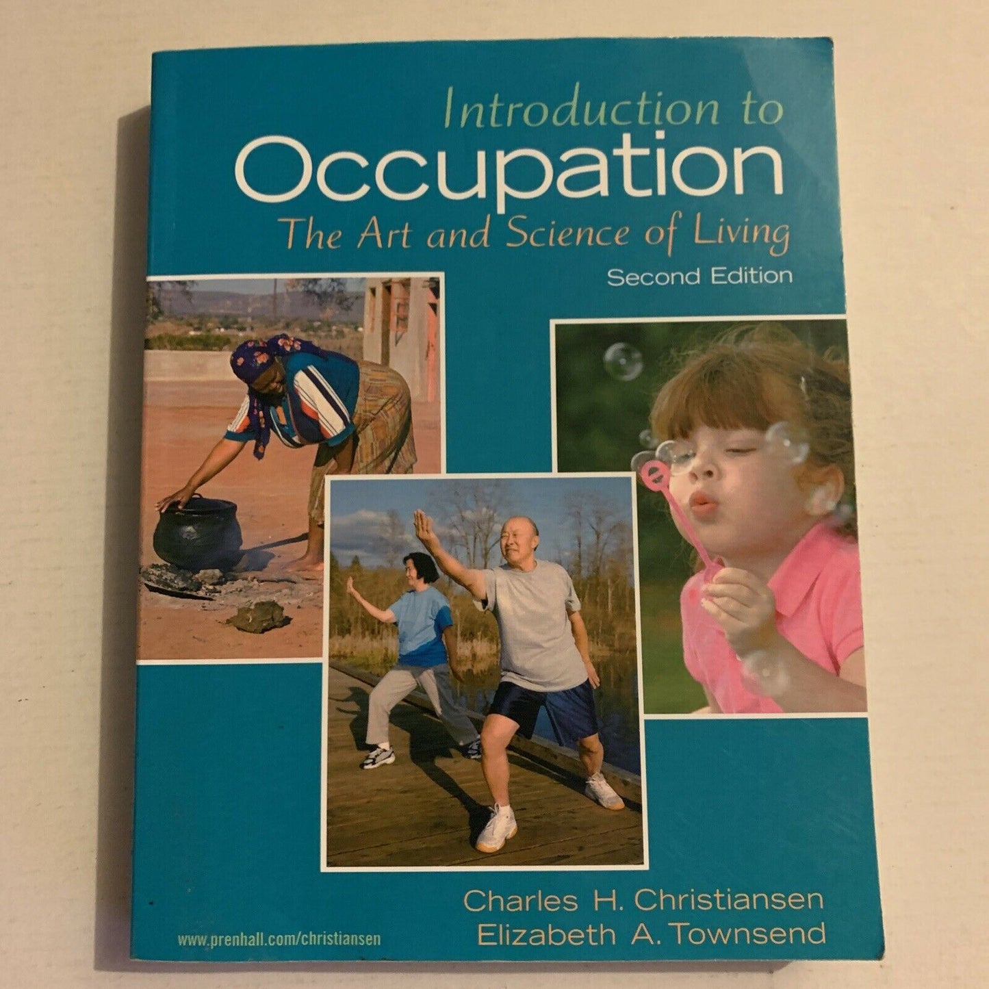 Introduction To Occupation - The Art And Science Of Living By C H Christiansen