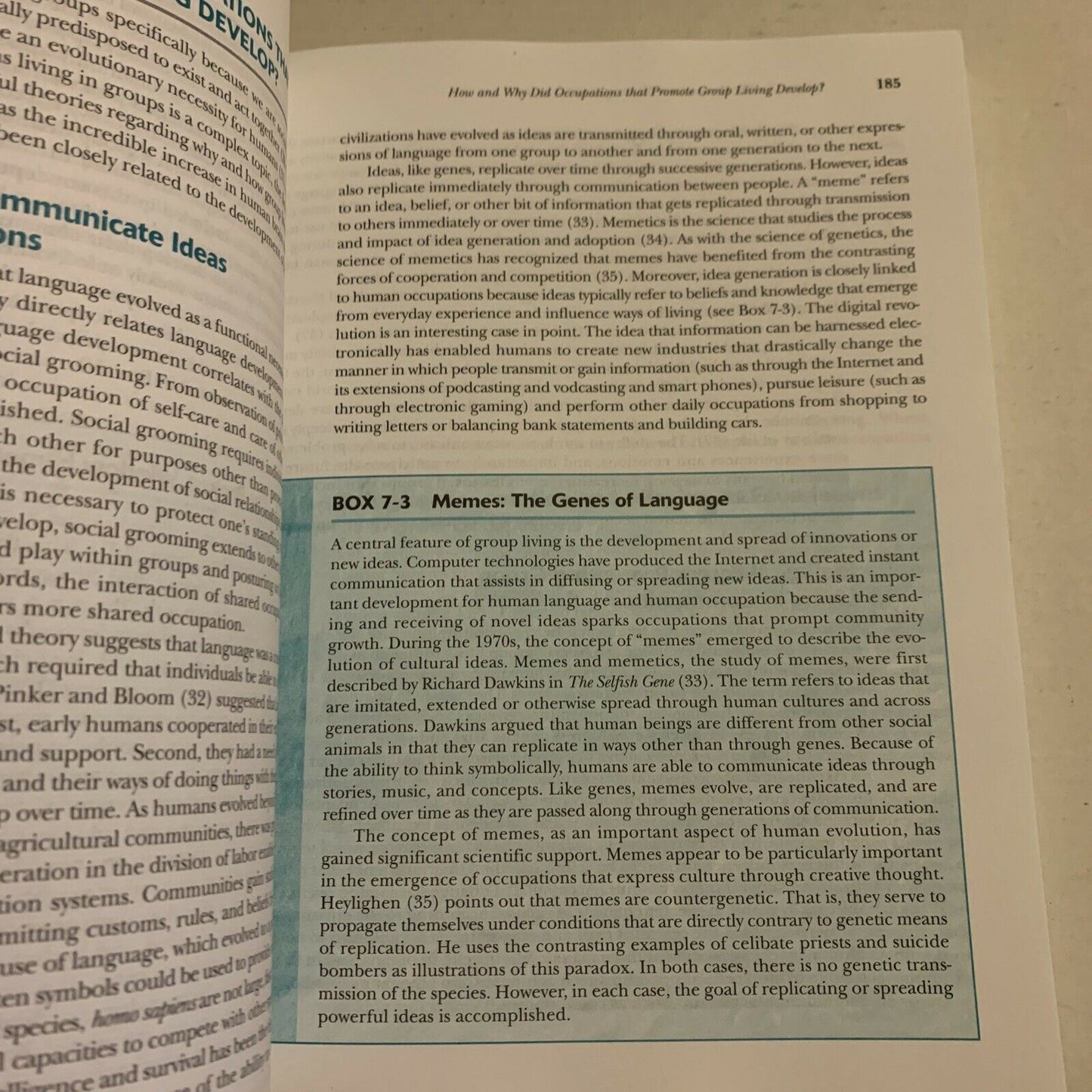 Introduction To Occupation - The Art And Science Of Living By C H Christiansen