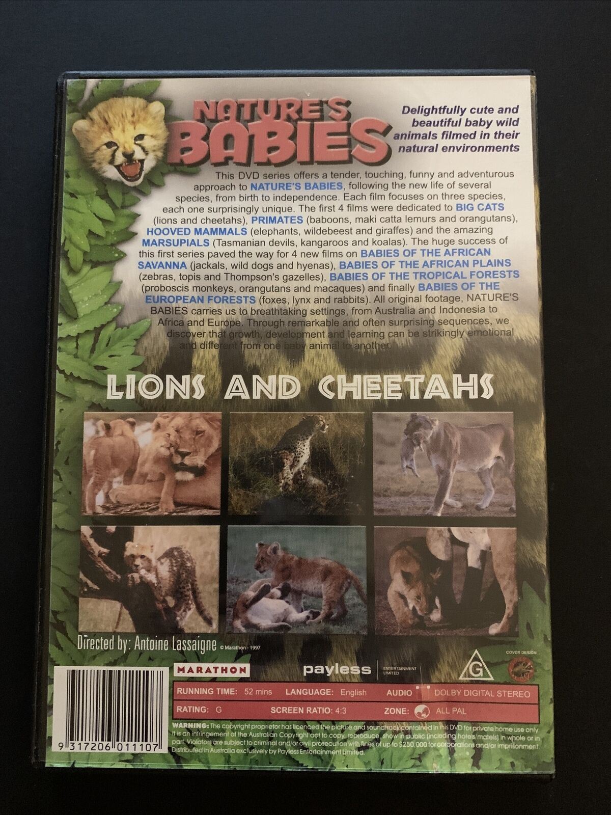 Nature's Babies: Lions And Cheetahs (DVD) All Regions