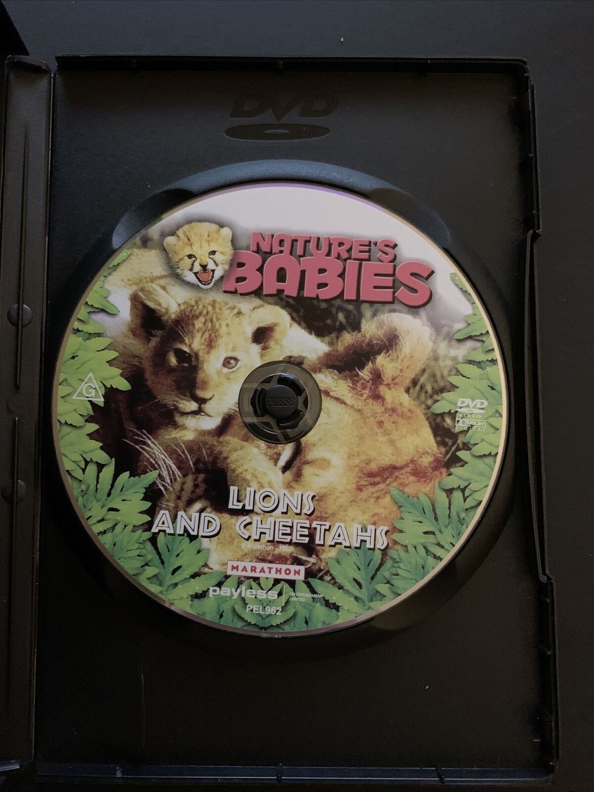 Nature's Babies: Lions And Cheetahs (DVD) All Regions
