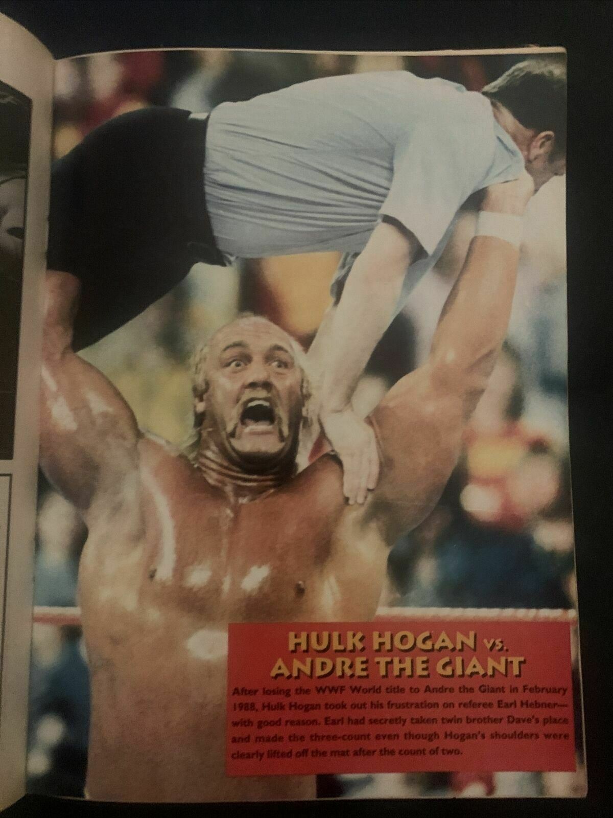 The Wrestler Magazine June 1994 - Bret vs Owen, Lex Luther, Missy Valet, Andre
