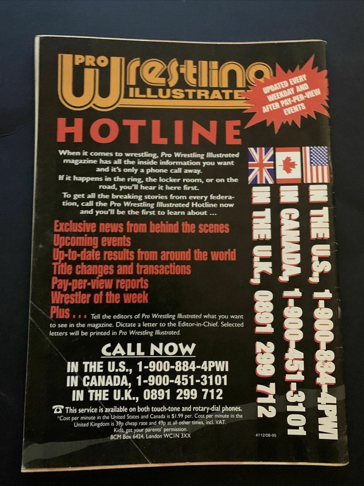 The Wrestler Special Edition Magazine July 1996 - WCW Tag Team