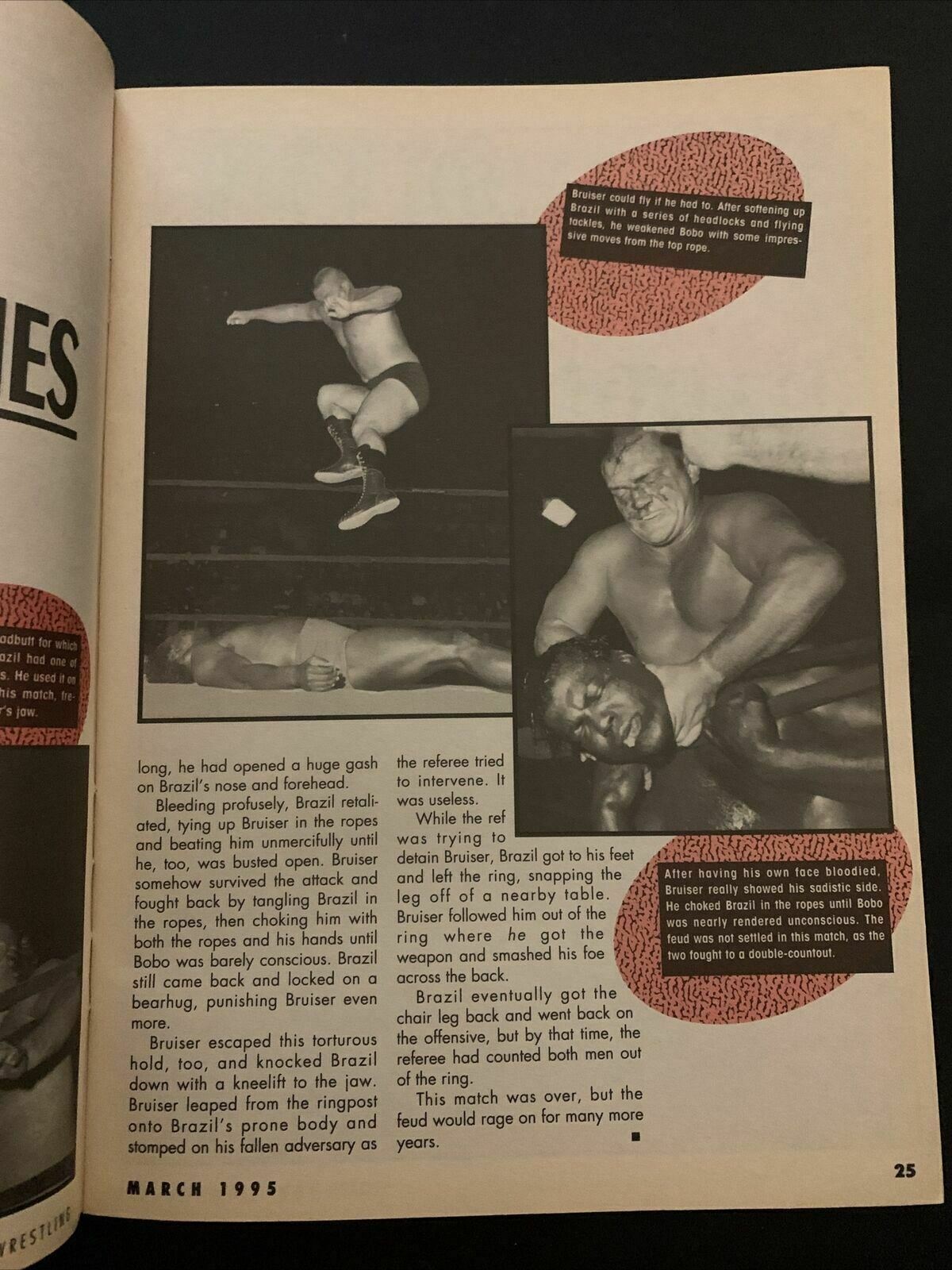 Sports Review Wrestling Magazine March 1995 - Hulk Hogan, Bret Hart, Sting