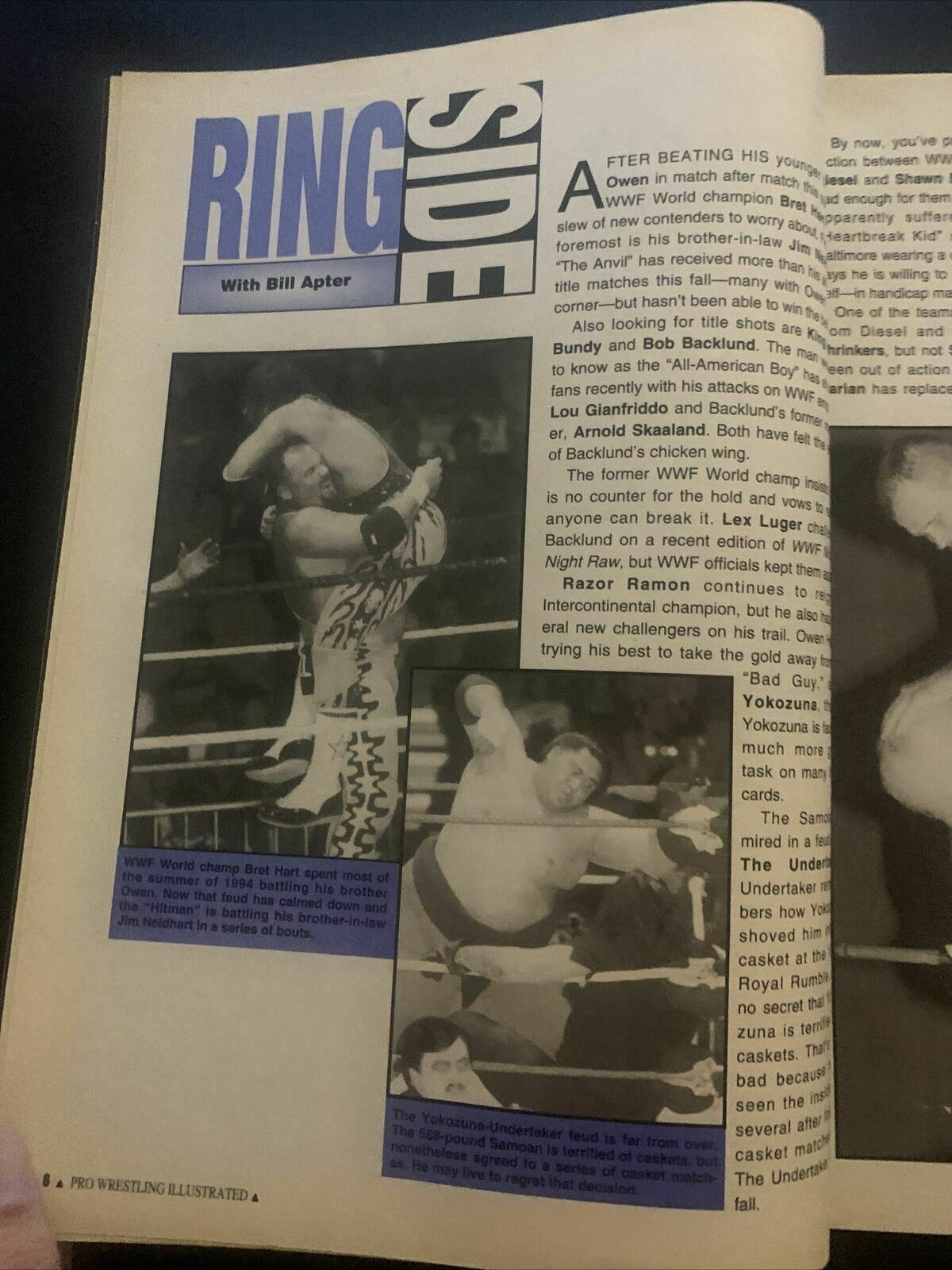 Pro Wrestling Illustrated February 1995 - WCW Civil War, Hulk, Abdullah, Butcher