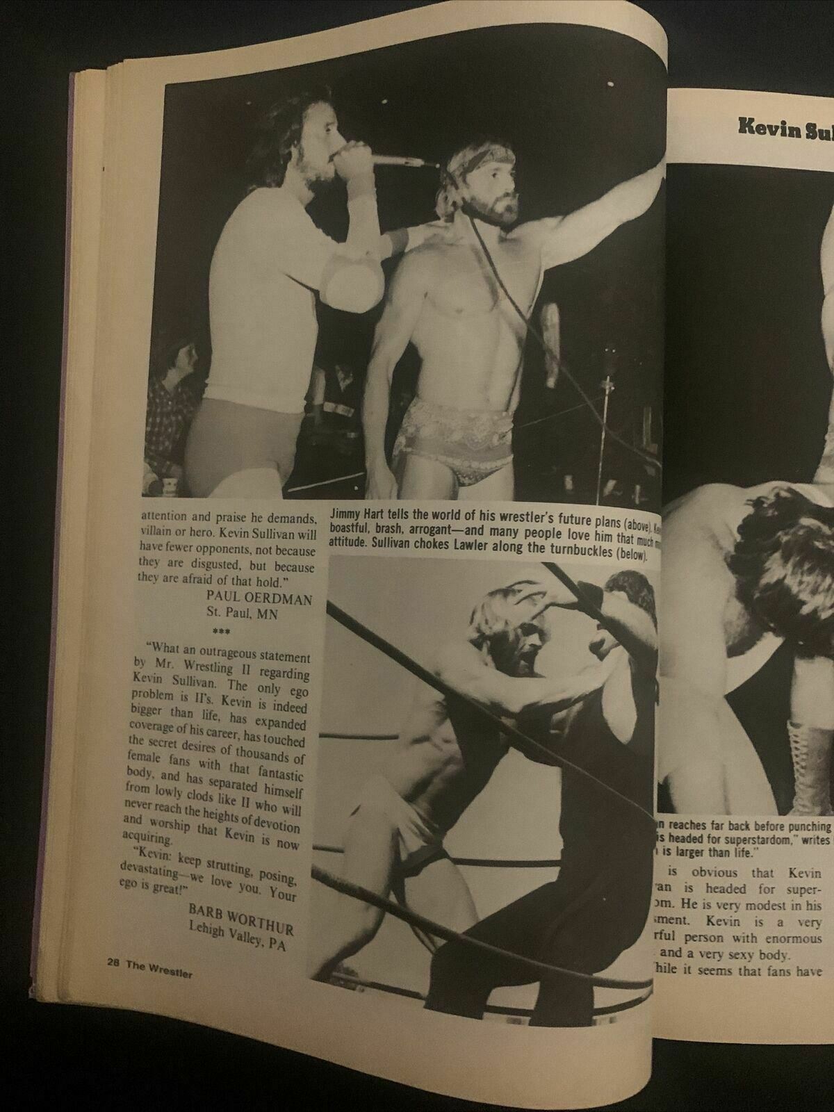 The Wrestler Magazine Winter 1995 - Sting vs Hogan, Dr Yankem, Undertaker