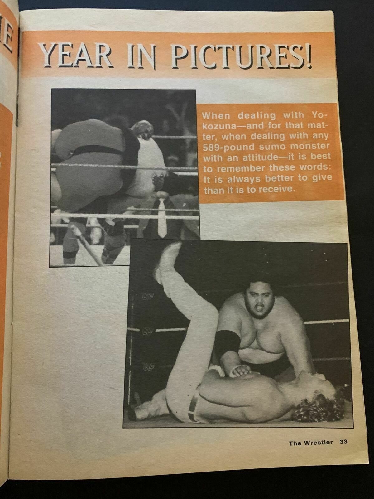 The Wrestler Magazine March 1996 - Hart, Luger, Ramon, Hogan