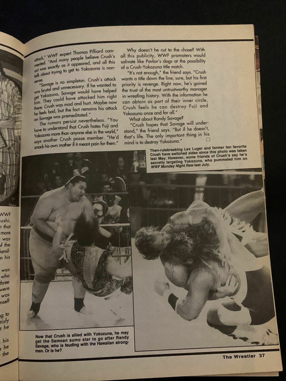 The Wrestler Magazine February 1994 - Sid Vicious, Arm Anderson, Yokozuna