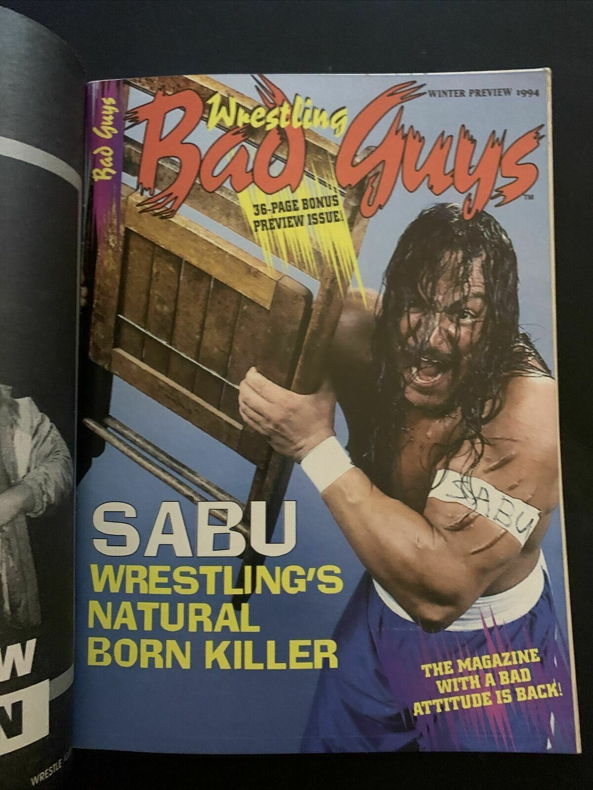 Wrestle America Magazine Winter 1994 - Curt Henning, Ric Flair, Sabu
