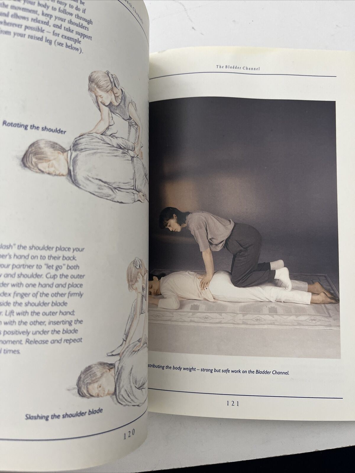 The Book of Shiatsu - by Paul Lundberg PB