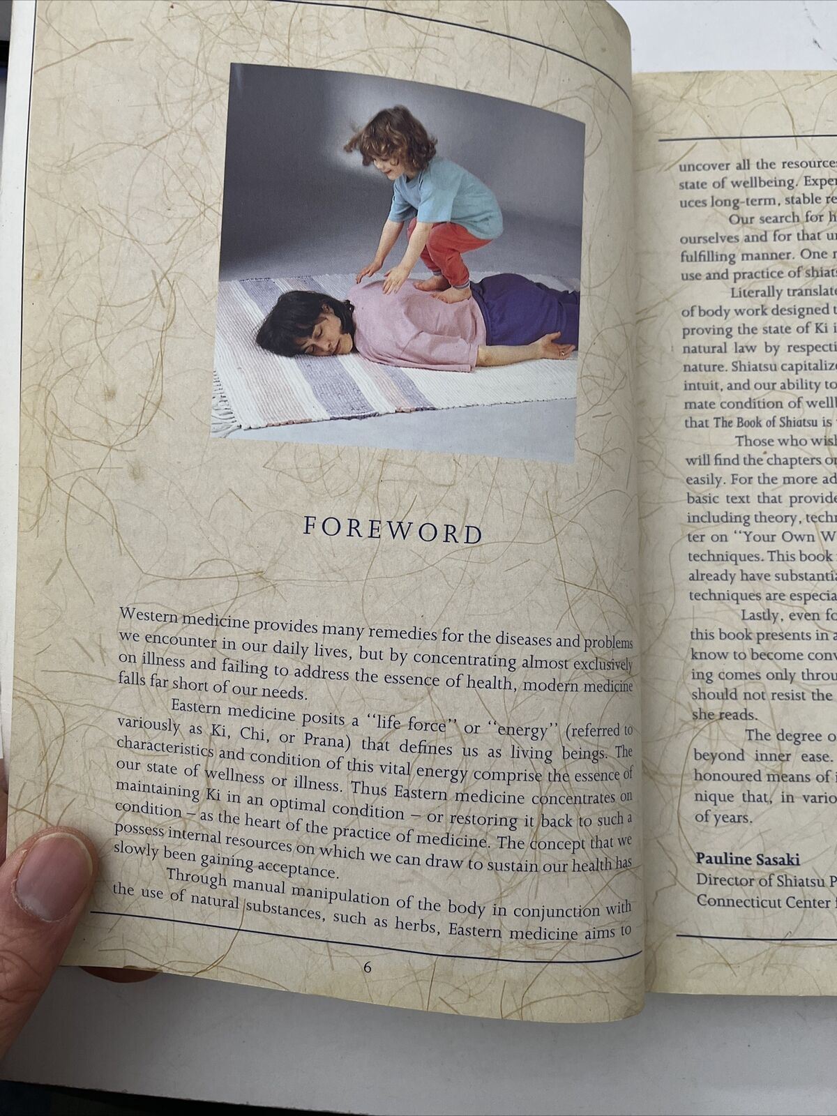 The Book of Shiatsu - by Paul Lundberg PB