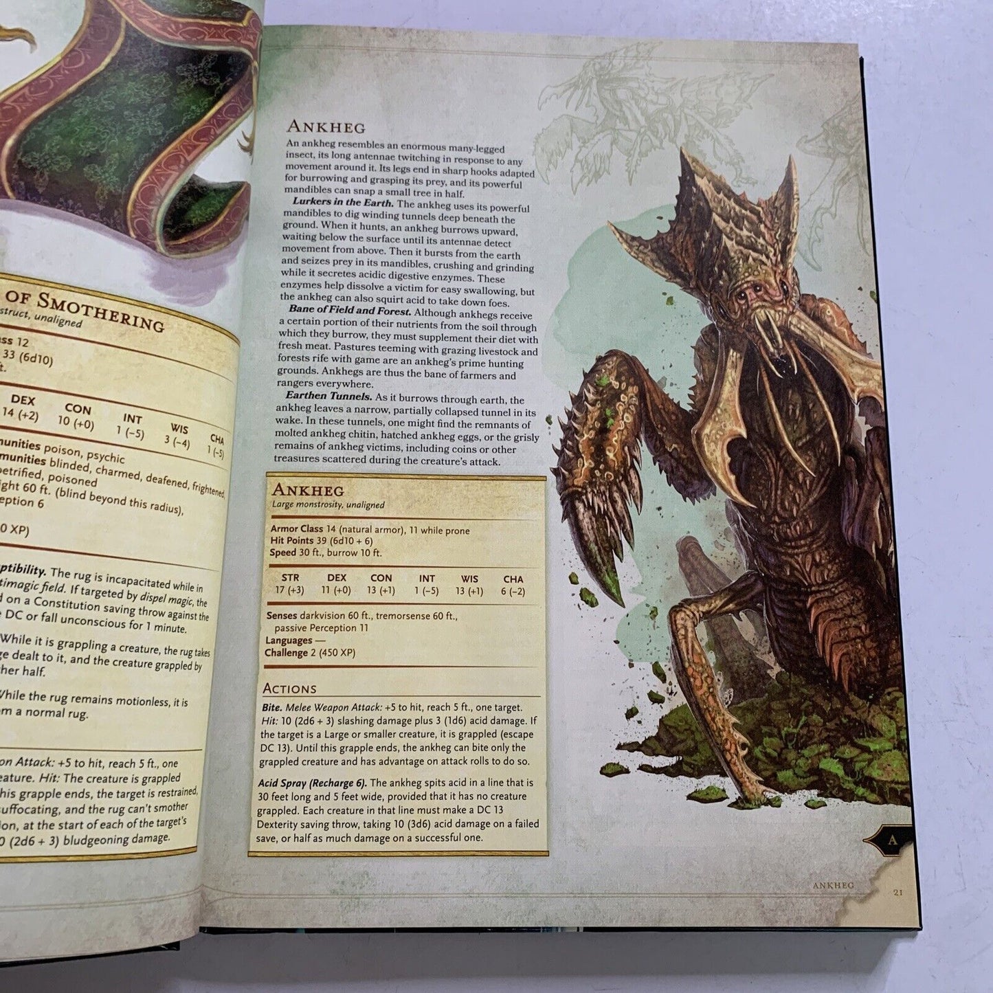 Dungeons & Dragons Monster Manual by Wizards of the Coast Core Rulebook
