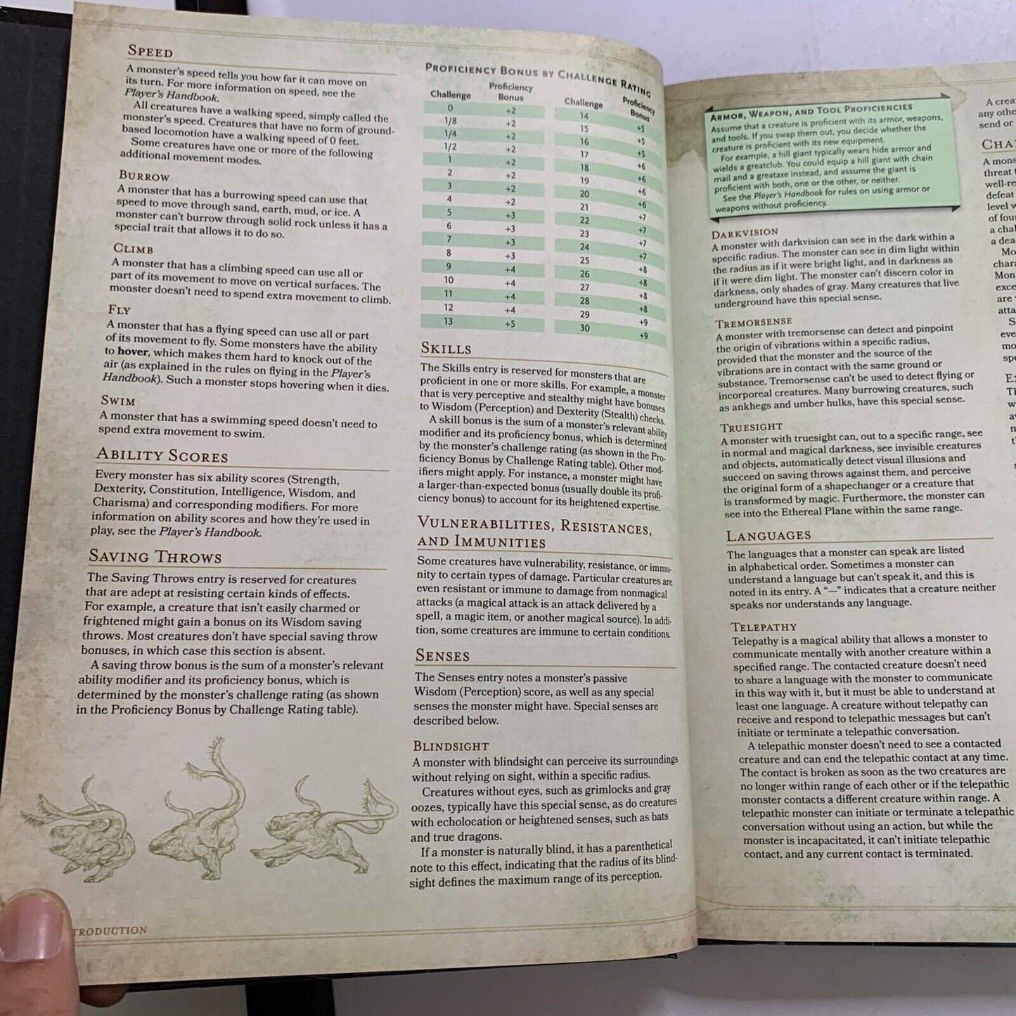 Dungeons & Dragons Monster Manual by Wizards of the Coast Core Rulebook