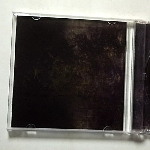 Day Of Fire – Losing All (CD, 2010) US 7930183031-2