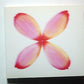 Speed – Moment (CD, 1998) Japan TFCC-88136