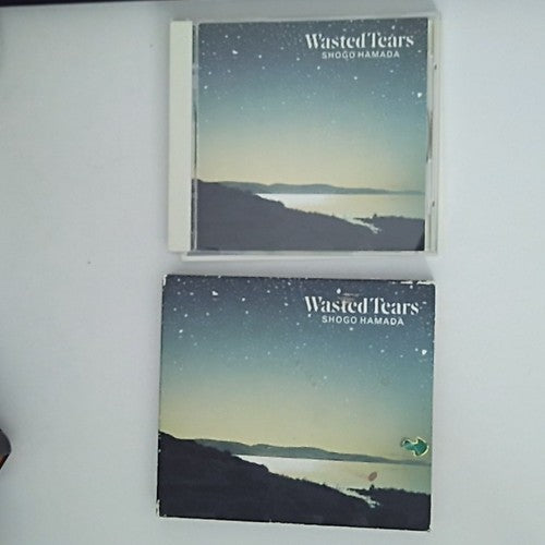 Shōgo Hamada – Wasted Tears (CD, 1989) Japan 32DH 5269