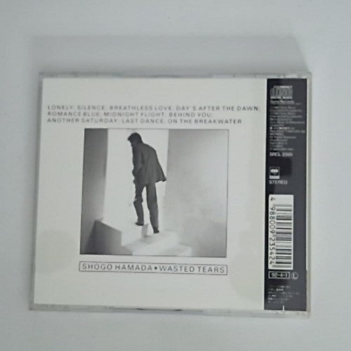 Shōgo Hamada – Wasted Tears (CD, 1989) Japan 32DH 5269