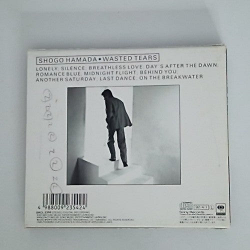 Shōgo Hamada – Wasted Tears (CD, 1989) Japan 32DH 5269