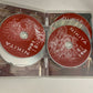 Nikita : Season 1 (DVD, 2010, 5-Disc) Maggie Q Region 4