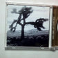 U2 – The Best Of 1980-1990 (CD, 1998) Australasia 524 613-2