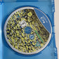 Despicable Me (Blu-ray, 2010) All Regions