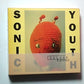 Sonic Youth – Dirty (CD, 2003, 2-Disc) US Deluxe Edition 069 493 410-2