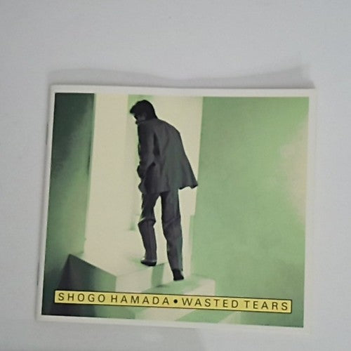 Shōgo Hamada – Wasted Tears (CD, 1989) Japan 32DH 5269