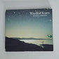 Shōgo Hamada – Wasted Tears (CD, 1989) Japan 32DH 5269
