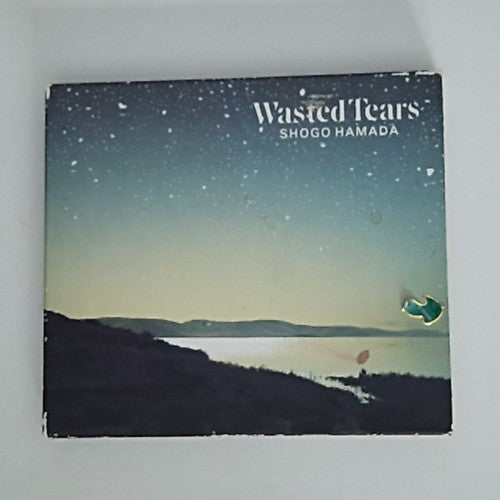 Shōgo Hamada – Wasted Tears (CD, 1989) Japan 32DH 5269