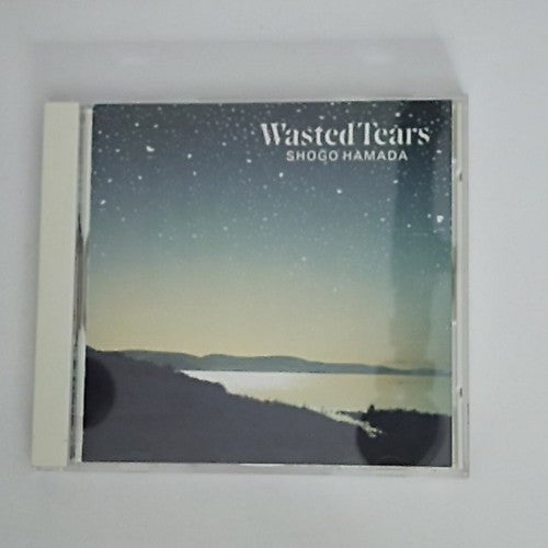 Shōgo Hamada – Wasted Tears (CD, 1989) Japan 32DH 5269